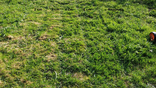 Skirtingu aukščiu nupjauta žolė