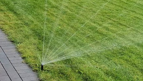 Laistomos vejos nuotrauka