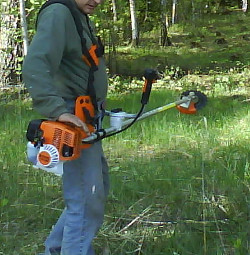 Paveikslėlis: žolės pjovėjas su trimeriu